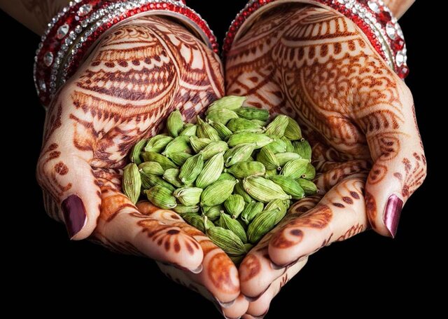 Bio Gewürze aus dem Allgäu